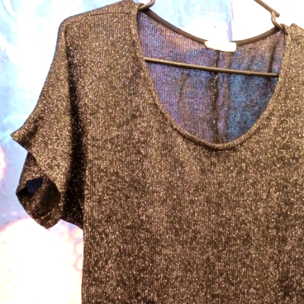 Shiny Top - Picture 2 of 3